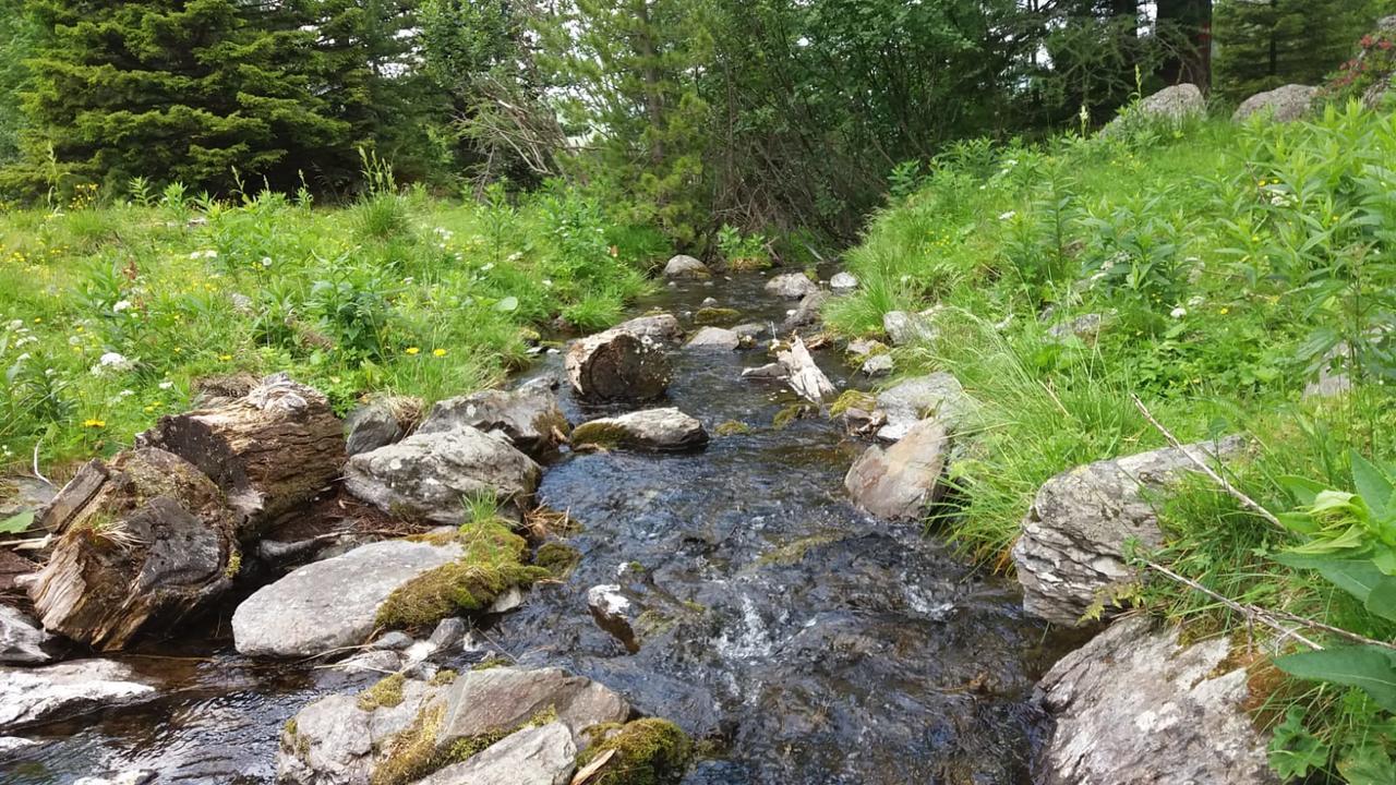 Willa Simonbauerhof Bad Kleinkirchheim Zewnętrze zdjęcie
