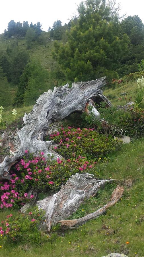 Willa Simonbauerhof Bad Kleinkirchheim Zewnętrze zdjęcie