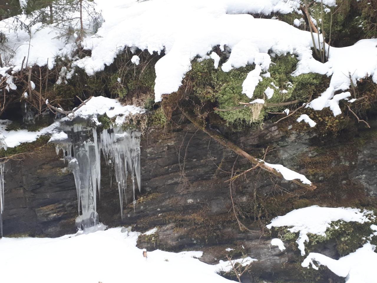 Willa Simonbauerhof Bad Kleinkirchheim Zewnętrze zdjęcie